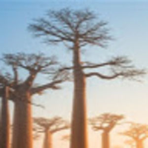 Meet your Posher, Carly